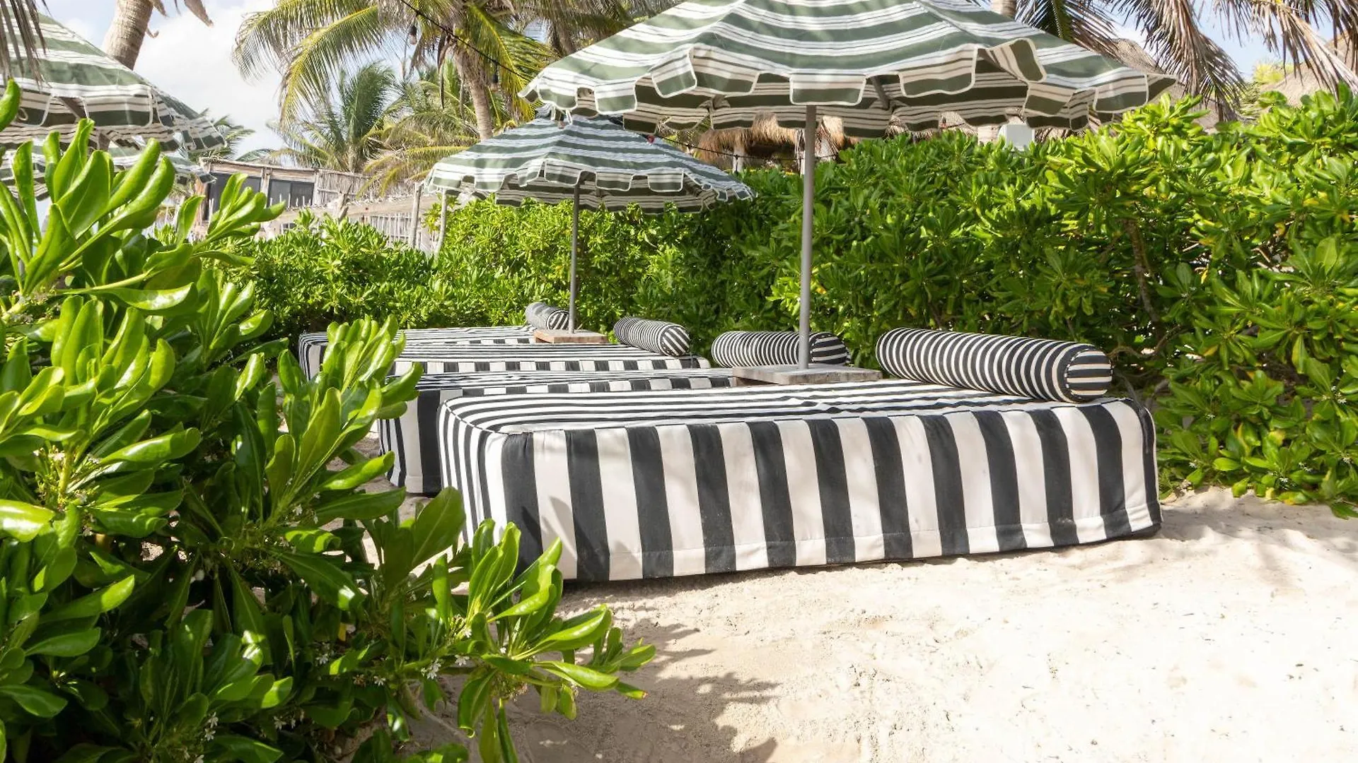 Hotel Panamera Tulum